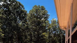 A wooden deck with a curved bench and railing, surrounded by trees. - Cozy luxe Durham escape (Durham)