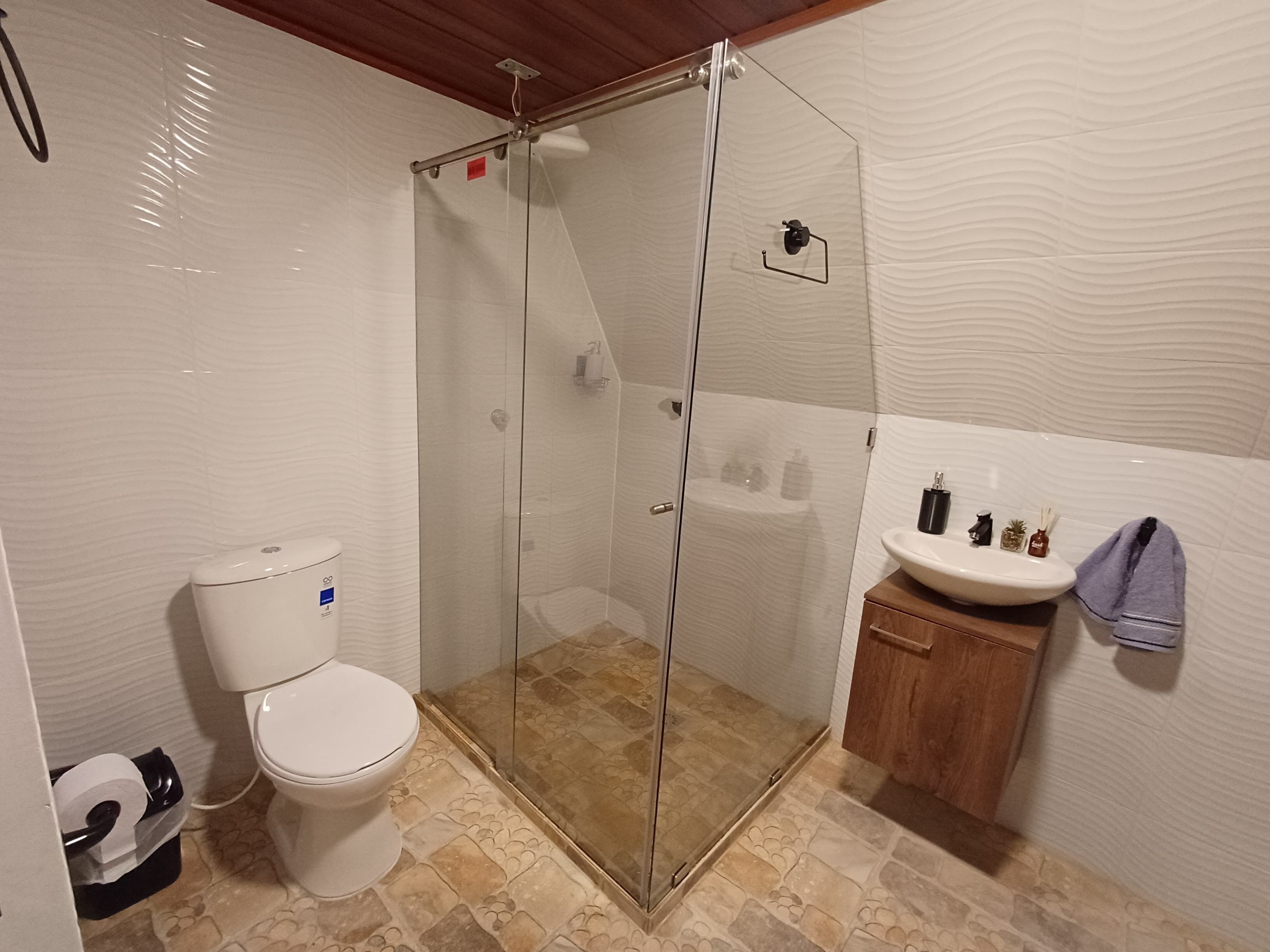 Shower, towels, soap, toilet paper
