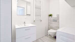 Ducha, secador de pelo, toallas, papel higiénico