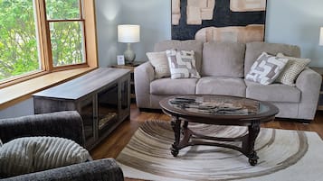 Smart TV, fireplace, books