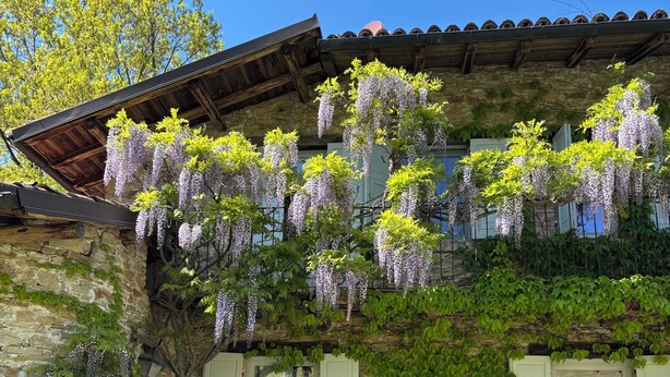 Un edificio de piedra con techo de madera, contraventanas blancas y flores moradas colgantes.