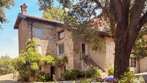Un edificio de piedra con chimenea, un árbol y un jardín con flores y plantas.