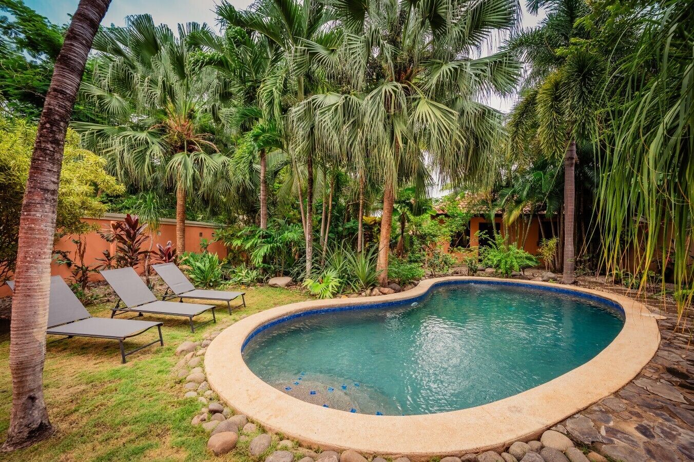 A swimming pool with a curved edge, surrounded by palm trees and a grassy area with lounge chairs.