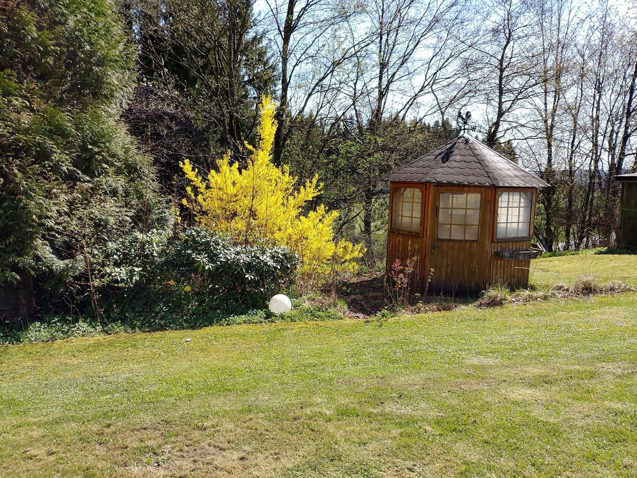 Una pequeña cabaña de madera con techo inclinado, rodeada de abundante vegetación y árboles.
