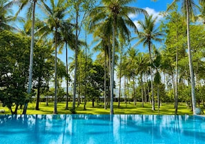 A swimming pool surrounded by tall palm trees and a clear blue sky. - Jungle Hut - 82 Bhavikere Nelamangala (Nelamangala)