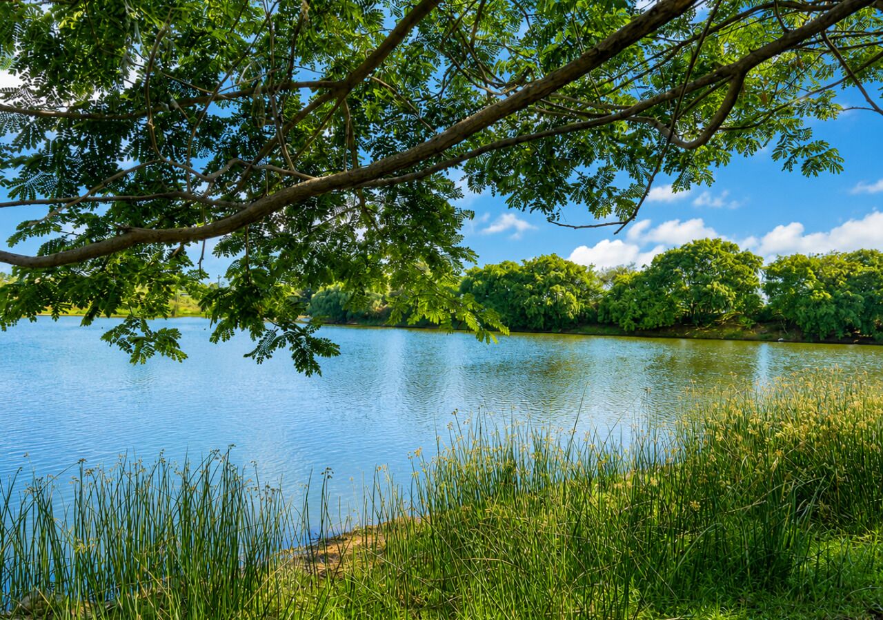Lake