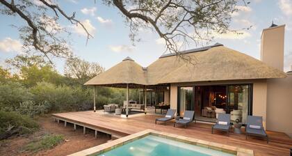 Luxury 3-bedroom Villa near Kruger | Private Pool & Wildlife | Villa White Lion