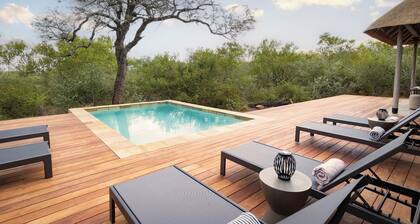 Luxury 3-bedroom Villa near Kruger | Private Pool & Wildlife | Villa White Lion