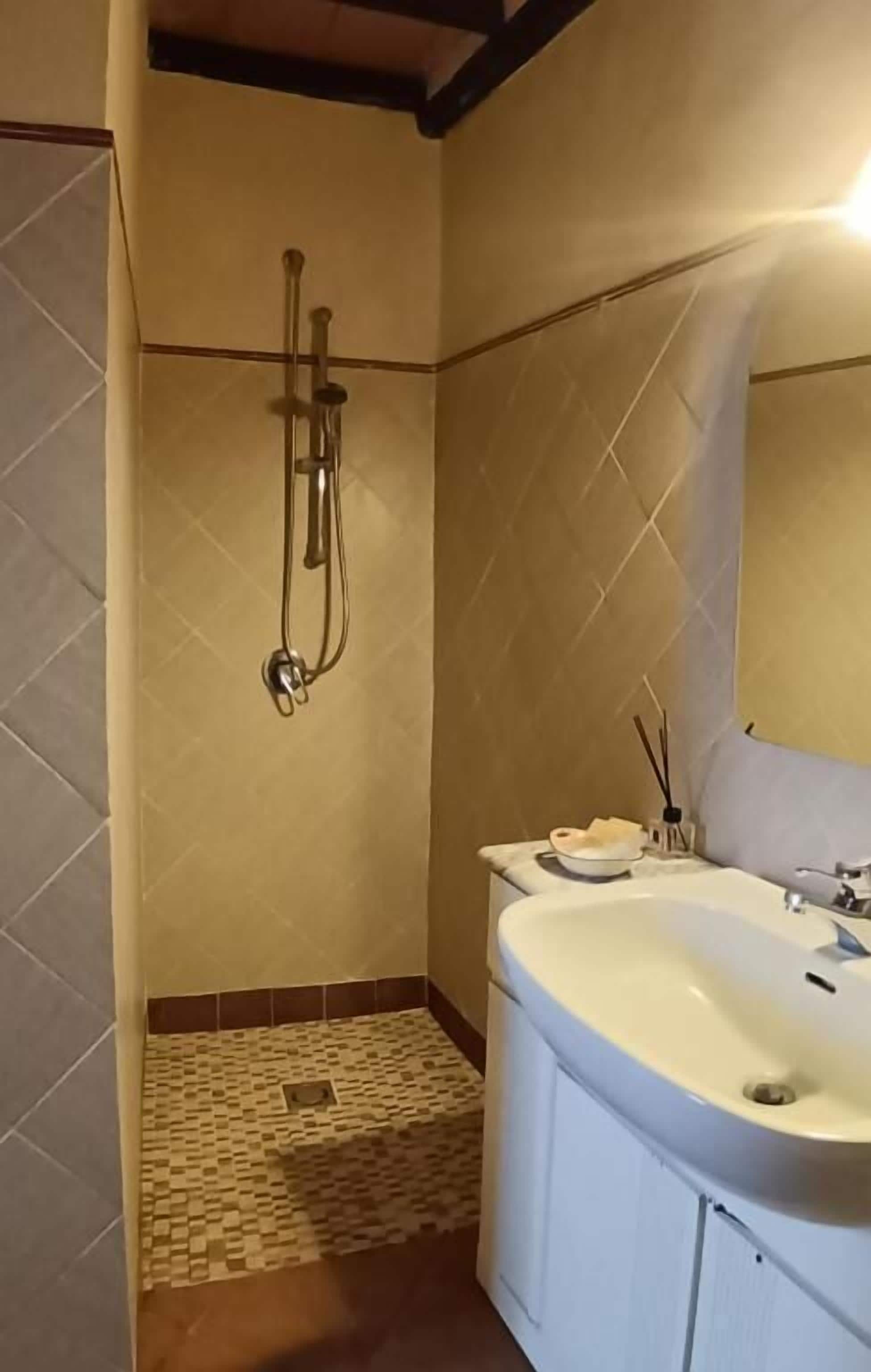 A bathroom with a shower, sink, and mirror.