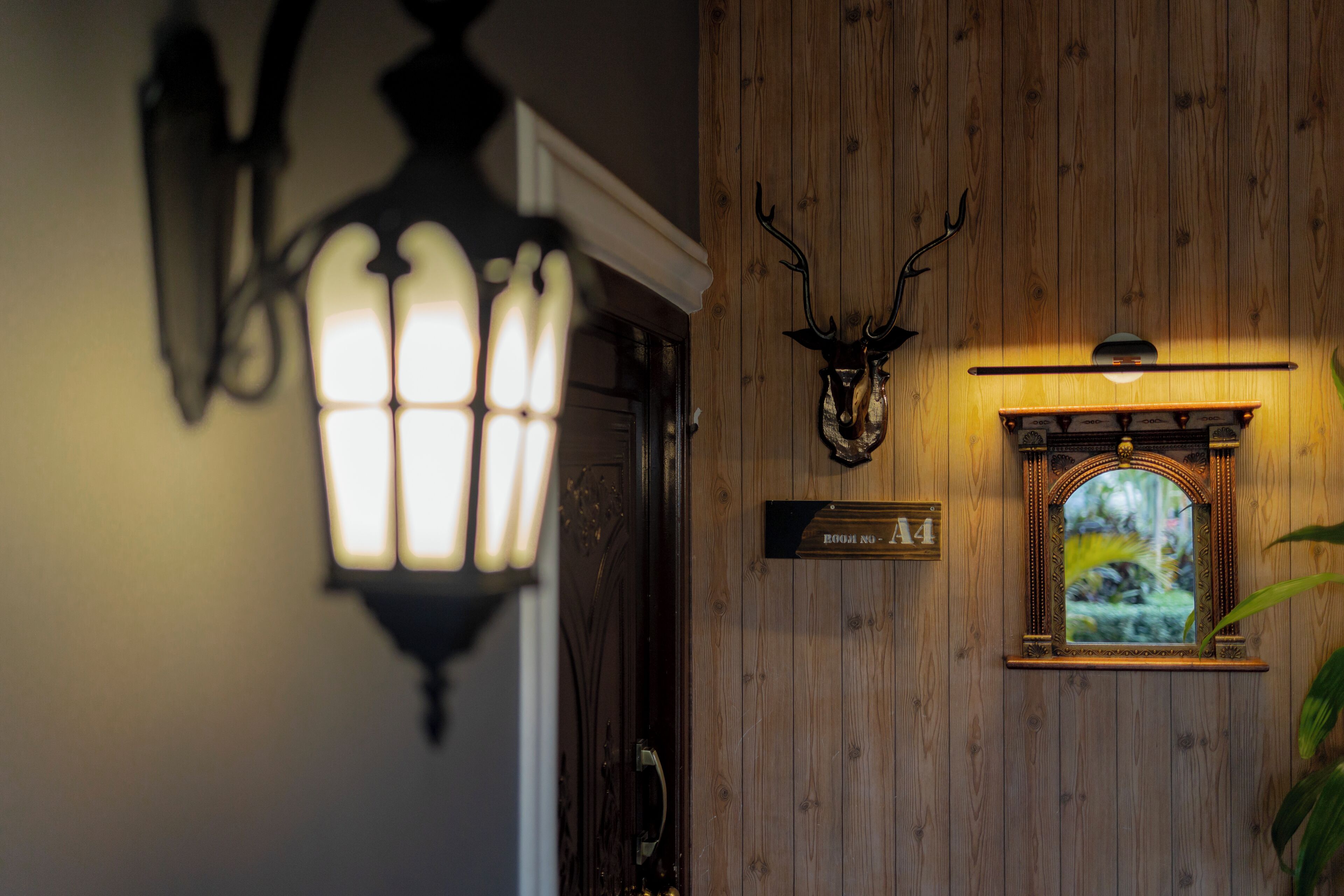 A wooden wall with a mounted deer head, a framed picture, and a sign reading 'ROOM NO. 14'.