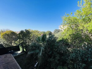 Ein Wohngebiet mit dichter Vegetation, blauem Himmel und einem Gebäude im Hintergrund.