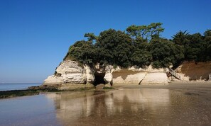 Beach - Vrbo Property (Meschers-sur-Gironde)