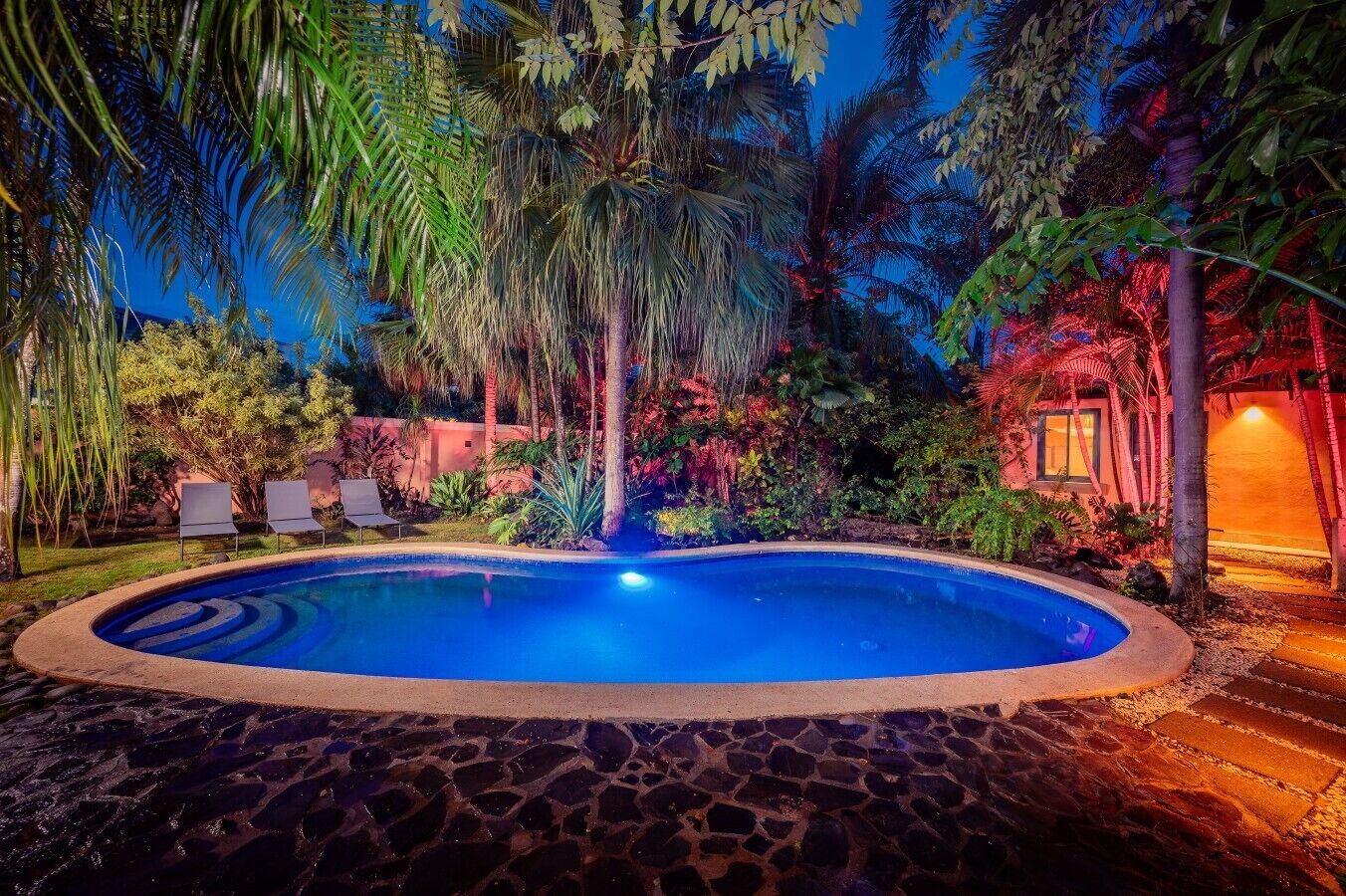 A swimming pool surrounded by tropical plants and a stone pathway.