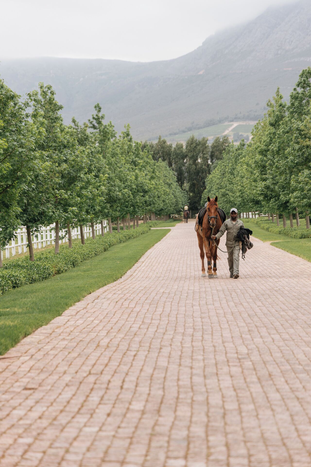 Un camino pavimentado con un jinete a caballo, rodeado de árboles y una montaña distante.