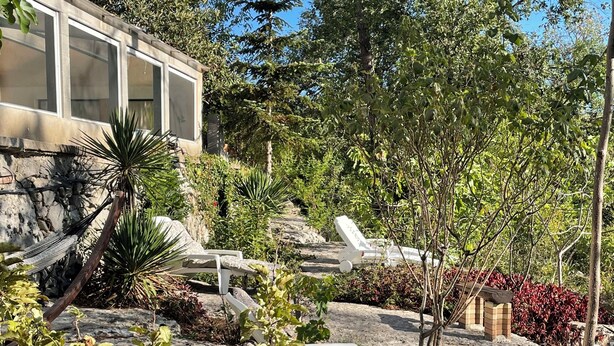 Ein Garten mit Liegestühlen, einer Hängematte und unterschiedlichen Pflanzen.