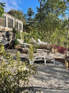 A garden with lounge chairs, a hammock, and various plants. - Calm and serenity for a comfortable stay. (Saint-Alban-Auriolles)