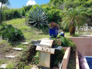 Property grounds - 2 Bedroom Home with Pool and View on the East End, Long-Term Rental (Christiansted)
