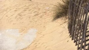Une plage de sable avec une clôture en bois et une vue sur l’océan.