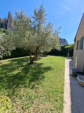 Ein gepflegter Garten mit Baum, Rasen und einem Gebäude mit Fenster.