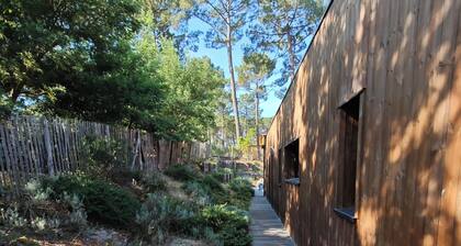 Between Lake and Ocean, in Carcans Maubuisson, upscale house sleeps 14