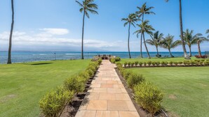 A pathway leading to a beach with palm trees and a view of the ocean. - Oceanview 2BR/2BA Condo w/ Pool, A/C, Balcony & Beach Access – Maalaea Kai 403 (Wailuku)