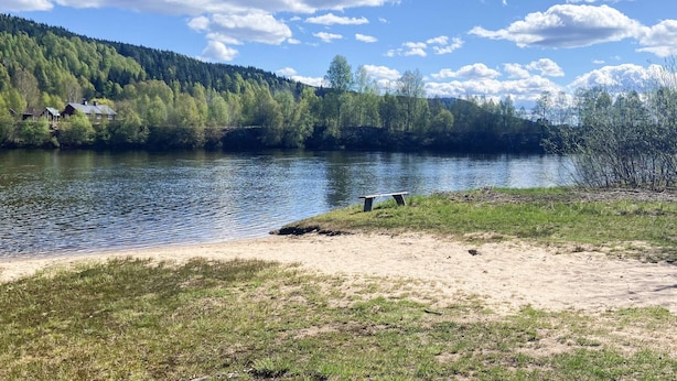 Ein friedlicher See mit Holzbank, sandigem Ufer und bewaldetem Hügel im Hintergrund.