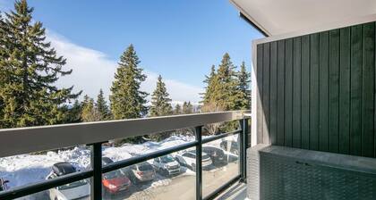 Quiet Mountain Stay in Chamrousse