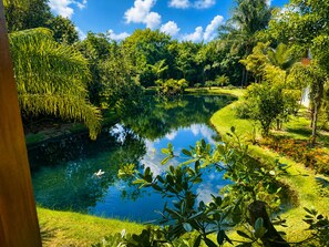 Ein friedlicher Garten mit Teich, üppigem Grün und blauem Himmel.