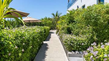 Un sendero bordeado por abundante vegetación y plantas en flor, que conduce a un edificio moderno con grandes ventanales.