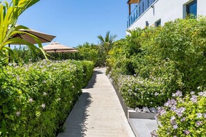 Un camí vora una vegetació exuberant i plantes en flor, que condueix a un edifici modern amb grans finestres.