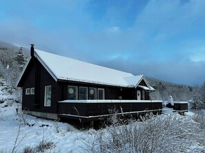 Exterior - Cabin surrounded by Norwegian nature in Nordfjord (Nordfjordeid)