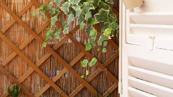 Detalle exterior