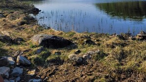 Un lac paisible, bordé d’arbres et de rochers.
