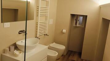 Shower, hair dryer, bidet, towels