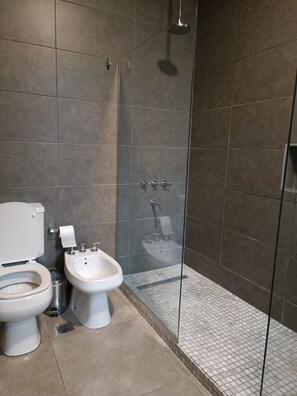 Douche, séchoir à cheveux, bidet, serviettes fournies