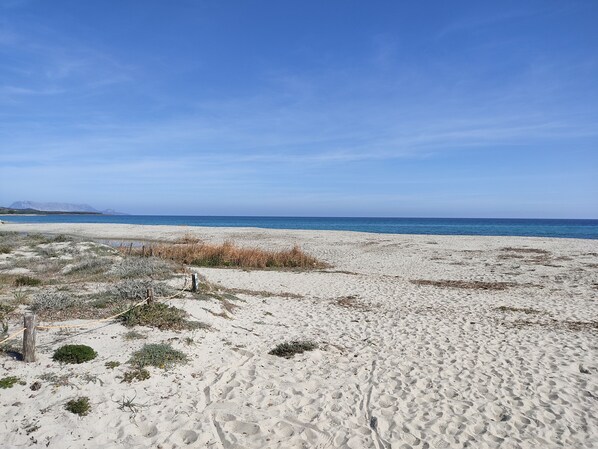 Ein sandiger Strand mit spärlicher Vegetation und blauem, wolkenlosem Himmel.