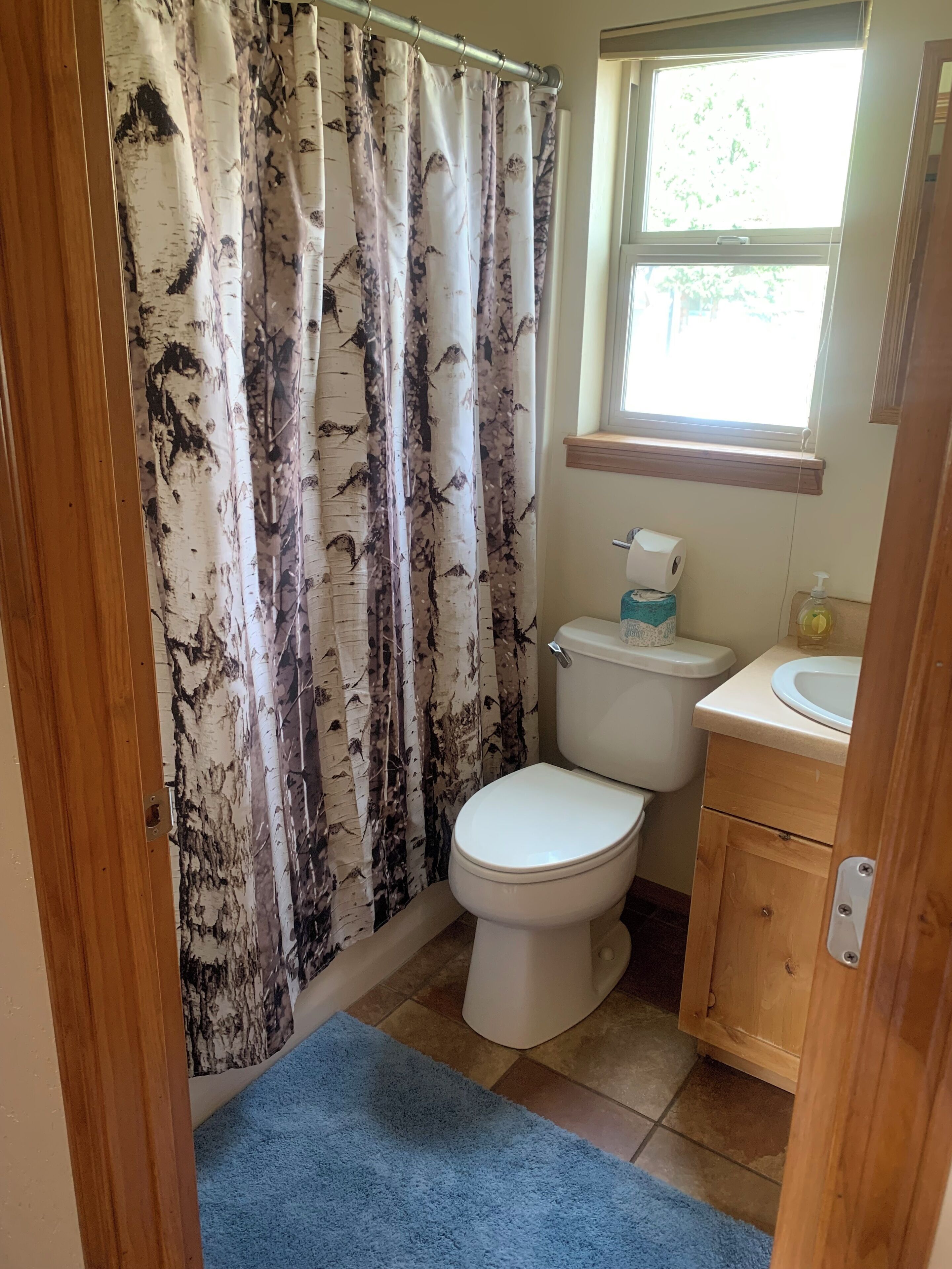 Un baño con cortina de ducha estampada con motivos de abedul, un inodoro, un lavabo y un ventanal.
