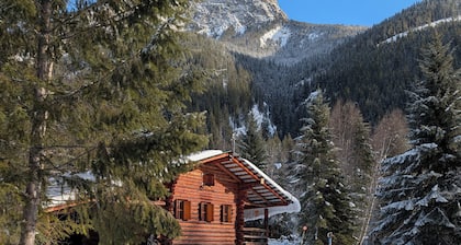 A Swiss chalet styled cabin in the woods with rustic charm. A peaceful getaway.