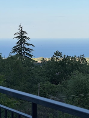 Paisaje costero con vegetación densa, un árbol de hoja perenne destacado y una vista distante del mar.