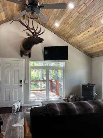 A room with a mounted deer head, a ceiling fan, a TV, a fireplace, a dog, and a view of a deck with a red railing.. Almost Heaven: Quiet Mountain Escape Near Hiking, Hunting & The Great Sand Dunes