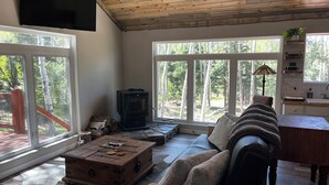 A cozy living room with a fireplace, wooden furniture, and large windows offering a view of the outdoors. - Almost Heaven: Aspen Season in the Colorado Mountains (Fort Garland)
