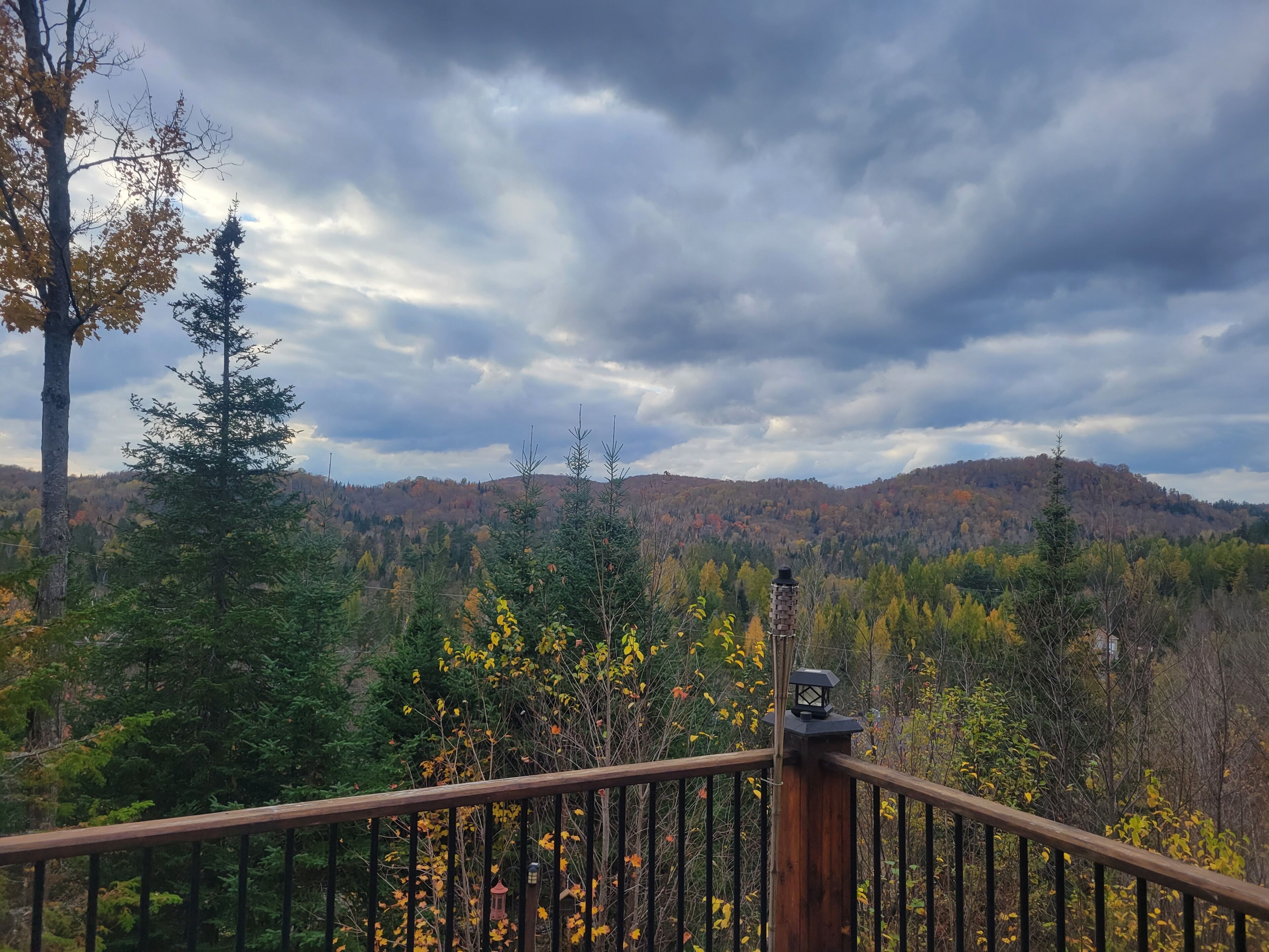 Une balustrade en bois donnant sur une colline boisée.