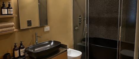 Regadera, secadora de cabello, bidet, toallas