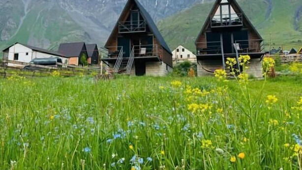 A mountain village with traditional wooden houses, a grassy field with wildflowers, and a backdrop of snow-capped mountains. - Harmony Cottages Kazbegi  (Stepantsminda)
