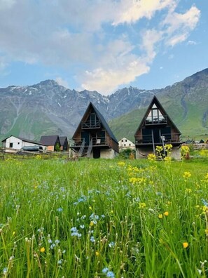 Un pueblo de montaña con casas de madera tradicionales, un campo cubierto de flores silvestres y montañas nevadas al fondo.