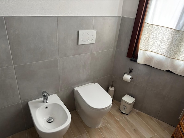 Shower, hair dryer, bidet, towels