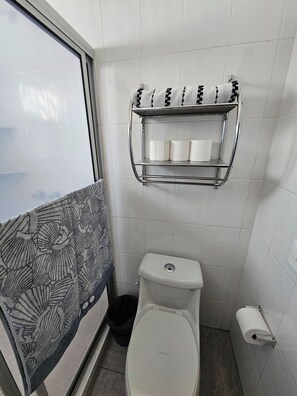 Ducha, secador de pelo, toallas, jabón