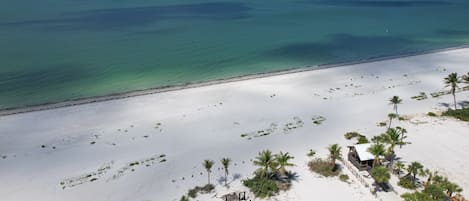 A beach with a white sand area, palm trees, and a small building.