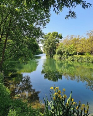 Ein ruhiger Fluss, umgeben von üppigem Grün und Bäumen.