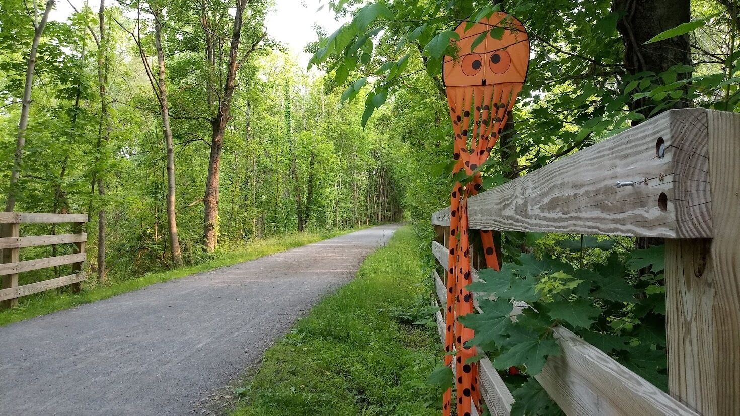 A forested area with a paved path, wooden fence, and a large orange sculpture.